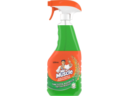 Средство для мытья стекол MR.MUSCLE Профессионал