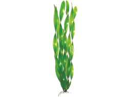 Растение искусственное для аквариума BARBUS Валиснерия широколистная