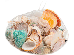 Набор ракушек для аквариума BARBUS Фрукты моря Микс 0,2 кг в сеточке 