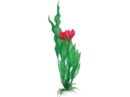 Растение искусственное для аквариума BARBUS Апоногетон Мадагаскарский с цветком
