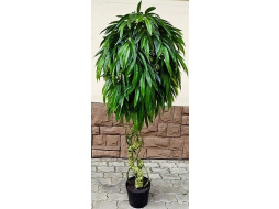 Искусственное растение FORGARDEN Манго Slim mango Мангифера 180 см 