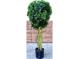 Искусственное растение FORGARDEN Питтоспорум Pittisporum 135 см 