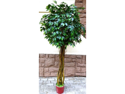 Искусственное растение FORGARDEN Фикус Ficus melani 225 см 