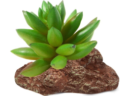 Растение искусственное для террариума LAGUNA Толстянка 9,5x7x9 см 