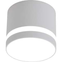 Светильник точечный накладной TRUENERGY Modern с матовым кольцом белый 