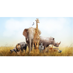 Фотообои флизелиновые ФАБРИКА ФРЕСОК Африканские звери 500x270 см 