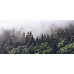 Фотообои листовые флизелиновые ФабрикаФресок Туманный Лес