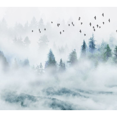 Фотообои листовые флизелиновые ФабрикаФресок Светлый Туманный Лес