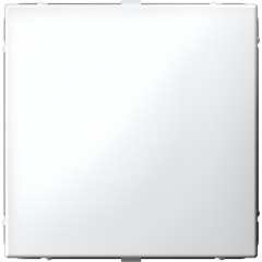 Заглушка SYSTEME ELECTRIC ArtGallery без суппорта для многопостовых рамок белая GAL000109
