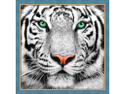 Алмазная вышивка АЛМАЗНАЯ ЖИВОПИСЬ Портрет белого тигра 25х25 см 