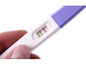 Тесты на беременность и овуляцию