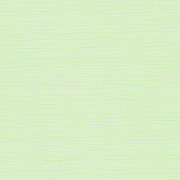 Рольштора ЭСКАР Миниролло 017 светло-зеленый 90х170 см (310170901701)