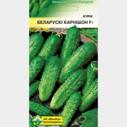 Семена огурцов Белорусский корнишон F1 МИНСКСОРТСЕМОВОЩ 0,8 г