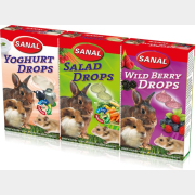 Набор лакомств для грызунов SANAL Drops 45гх3 упаковки (8711908700030)
