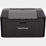 Принтер PANTUM P2507