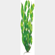 Растение искусственное для аквариума BARBUS Валиснерия широколистная 30 см (Plant 005/30)