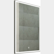 Зеркало для ванной с подсветкой КОНТИНЕНТ Frame Silver LED 700x1000 (ЗЛП83)
