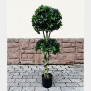 Искусственное растение FORGARDEN Pittisporum double 137 см (FGN_BF01699)