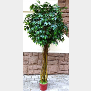 Искусственное растение FORGARDEN Фикус Ficus melani 225 см (FGN_BF00390)