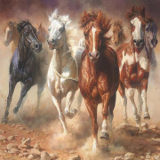 Картина по номерам DARVISH Табун лошадей 40х40 см (DV-4356-29)