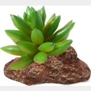 Растение искусственное для террариума LAGUNA Толстянка 9,5x7x9 см (84044002)