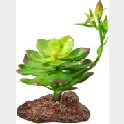 Растение искусственное для террариума LAGUNA Эониум 10x10x16 см (84044005)
