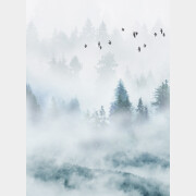 Фотообои флизелиновые ФАБРИКА ФРЕСОК Светлый туманный лес 200x265 см (12265)