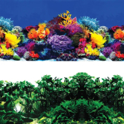 Фон для аквариума LAGUNA Обитатели рифа, джунгли 50x100 см (74064091)